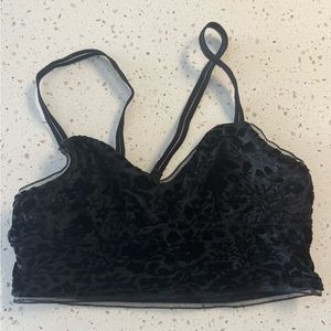 Aerie floral black velvet bralette